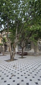 ID-259 мирзо улугбекский Район буз-2 эко базар