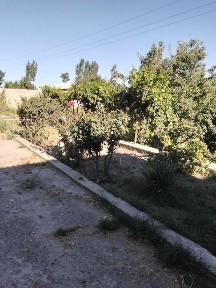 Kogon tumani Qalqon qishlogʻida 15 soʻtiqli Uchastka sotiladi