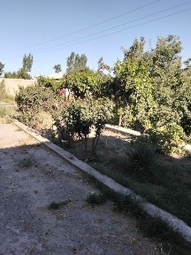 Kogon tumani Qalqon qishlogʻida 15 soʻtiqli Uchastka sotiladi