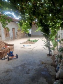 Hovli sotiladi 3.50sotik