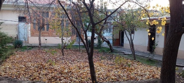 Toshkent shahar Olmazor tumani