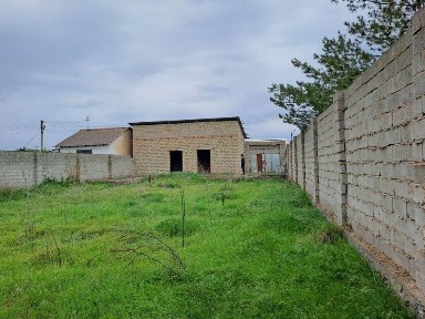 Дала ховли пулот даргом