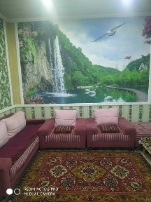 Пущу одного человека мужчина на подселение