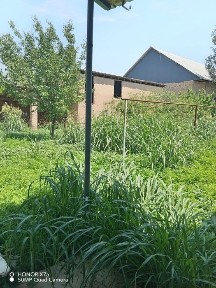Срочно Продается участок, дом