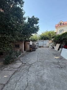 Ореховая роща Айбек МФЙ ул Ирригатор недалеко от Сампи 4,6 сотки