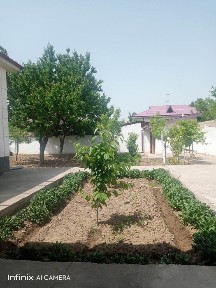 Ховли сотилади Кушкурган МФЙ 6 сотих Катеж Со