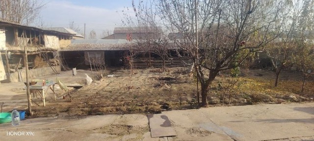 Ташкентская область, Зангиата