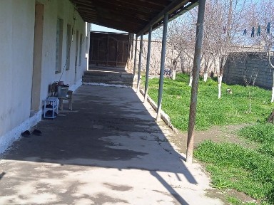 Hovli joy 8sotix