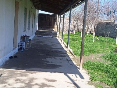 Hovli joy 8sotix