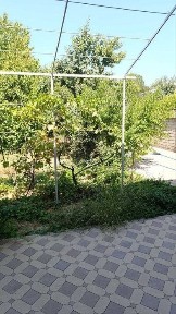 Ташкентская область, Коксарай