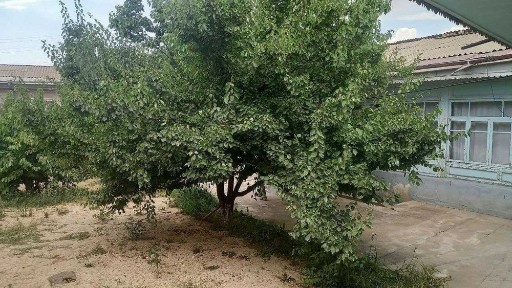 Hovli sotiladi,Hasanboy,Продаётся участок Хасанбай