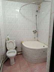 Qora qamish 1/3da Dom sotiladi