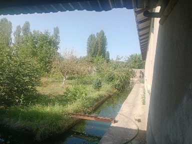 Дом углавой енги Тошкент