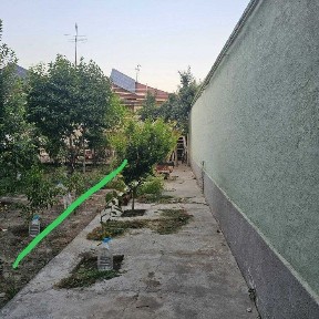 Katta hovlining bir qismi sotiladi