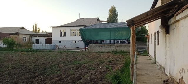 Саксанотада Уи участка сотилади яхши жода жоилашкан 23 соту