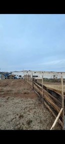noturar bino o'n qorg'onda52.10sotx sotilvoti