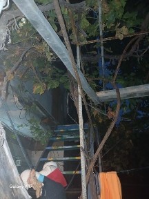 Ташкентская область, Ташкент, Яшнабадский район