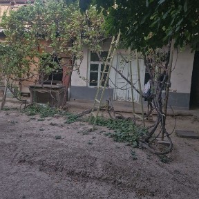 Ташкентская область, Ташкент, Шайхантахурский район