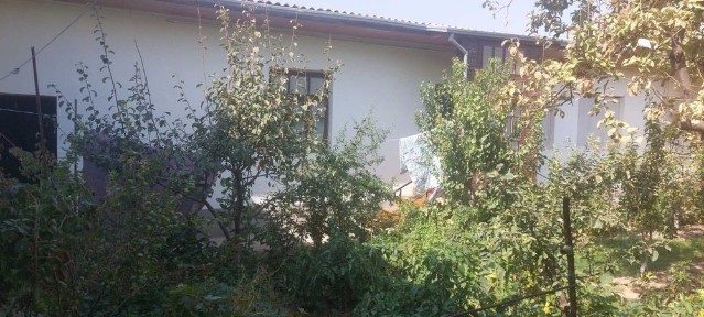 Toshkent shaxar M Ulugbek tumani Chingeldi mahllasida hovli sotiladi