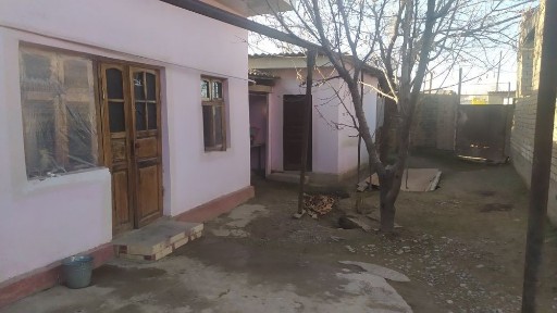 Ташкентская область, Чиназ
