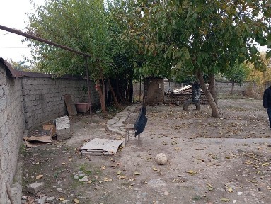 Ташкентская область, Ташкент, Сергелийский район