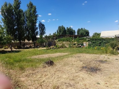 Ташкентская область, Ташкент, Юнусабадский район