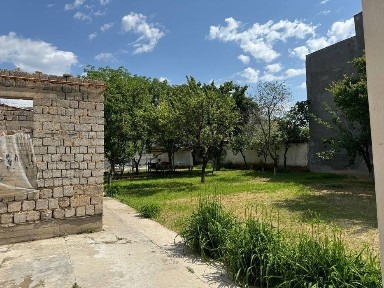 Uch tepa kotta qani