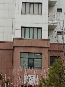 Toshkent city да уй сотилади