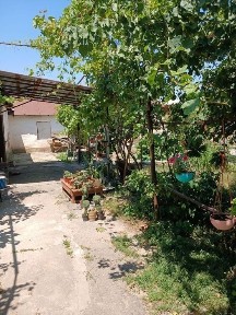 Продаётся Дом в Чирчике