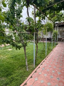 Гулистонда ховли сотилади