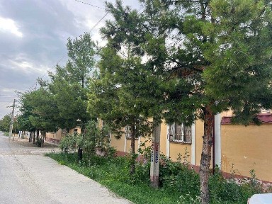 Продается котедж 4 комнаты, 6 сот | Kotej sotiladi 6 сотих 4 хона
