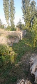 Ташкентская область, Янгибазар