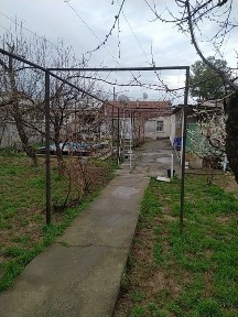 Ташкентская область, Кибрай