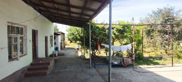 Ташкентская область, Ташморе