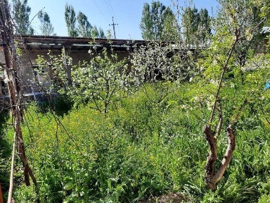 Ташкентская область, Чирчик