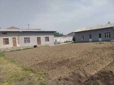 Ташкентская область, Ташкент, Сергелийский район