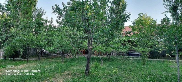 СРОЧНО! Продается СВОЯ дача