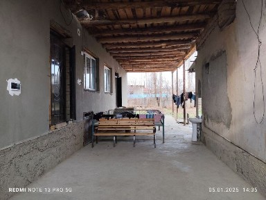 Ташкентская область, Янгибазар