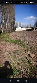 Uchaska sotiladi manzil Toshkent viloyati Boʻka tumani Lesinka qishlog