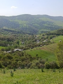 Ташкентская область, Газалкент