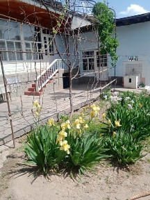 Продается дом 6 соток