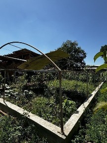 Ташкентская область, Ташкент, Сергелийский район