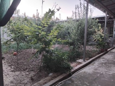 Uy sotiladi Toshkent viloyat Toshkent tuman