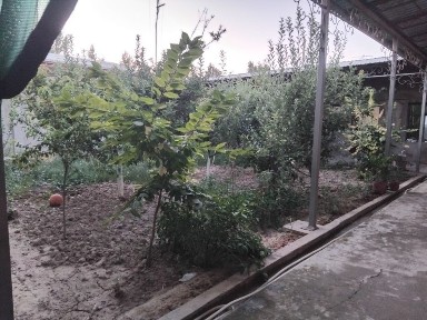Uy sotiladi Toshkent viloyat Toshkent tuman