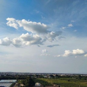 Yunusobod kvartira