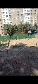 Ташкентская область, Ташкент, Юнусабадский район