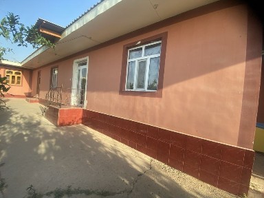 Сурхондарё шеробод чагатойда уй сотилади