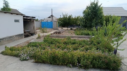 Yangi bozor yaqinida Srochna Sotiladi