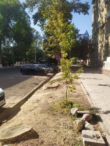 Ц-1 Кафе Студия нежилое помещение 346 кв. м средний ремонт срочно
