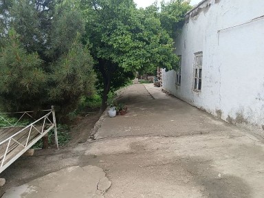 Бухарская область, Бухара